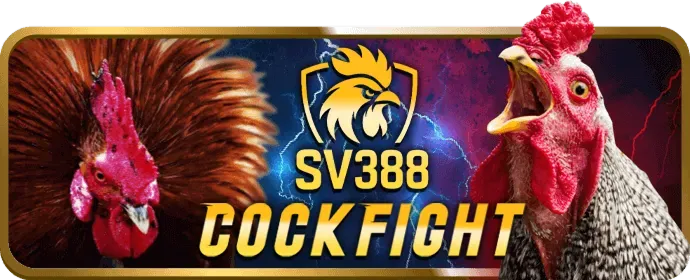 Hoàn trả hàng ngày 189bet nhà cái